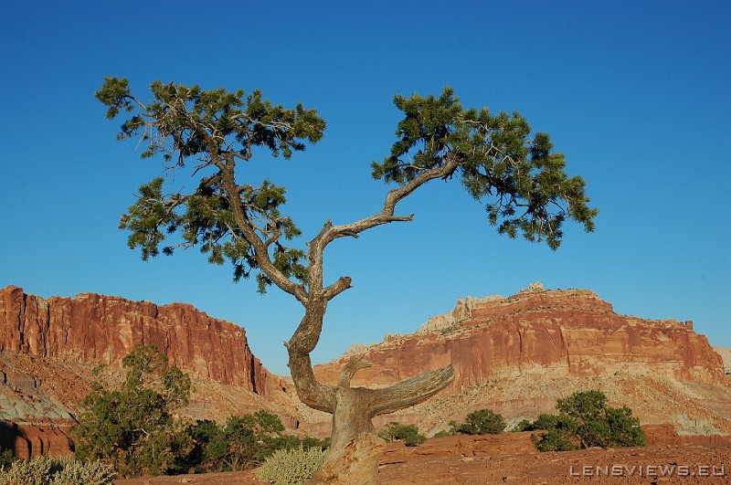 Capitol Reef 05 